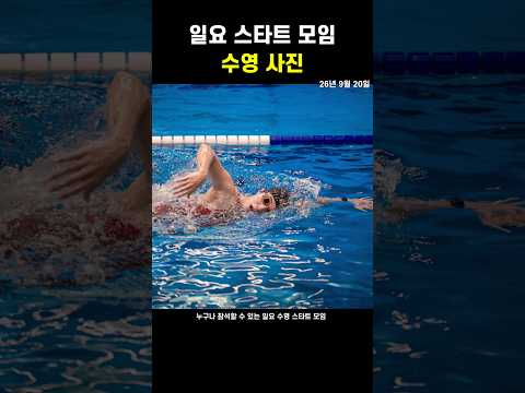 <strong>수영장</strong> 수영 사진 260920#수영 #신코치 #술영라이브 #swimming #<strong>수영장</strong>