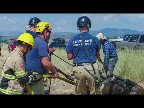 Loveland horse rescued from creek bottom