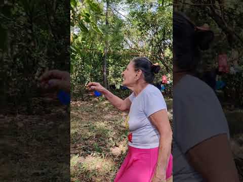 #soysalsero #cumbia #tradiciones #baile #dance #tradicion #cultura #banda #elsalvador