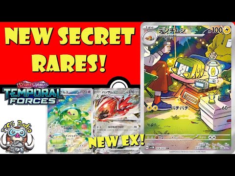 Pokemon TCG News