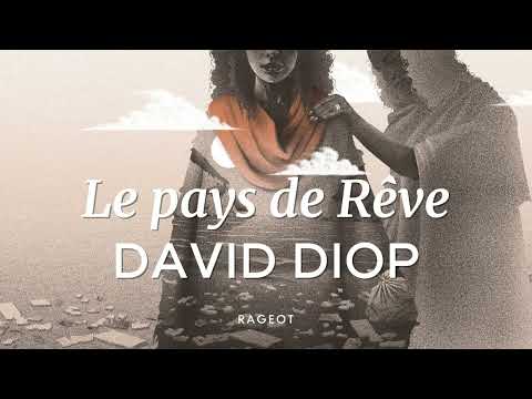 Vido de David Diop