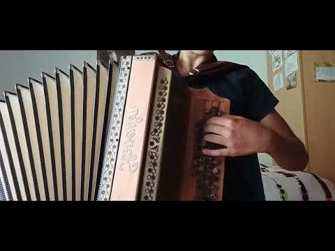 KAM LE ČAS BEŽI-ŠTIRJE KOVAČI/HARMONKA