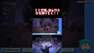 【 ELDEN RING NIGHTREIGN】ミミズ顔、高台から〇を振りまく【エルデンリングナイトレイン】