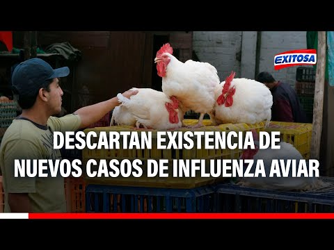 Senasa descarta existencia de nuevos casos de influenza aviar a nivel nacional