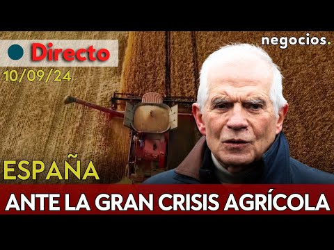 DIRECTO | Europa ante la gran crisis agrícola: división interna y tensión con Hungría