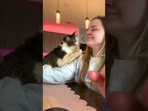 Woman Adopts Handicapped Senior Cat For The Sweetest Reason | The Dodo