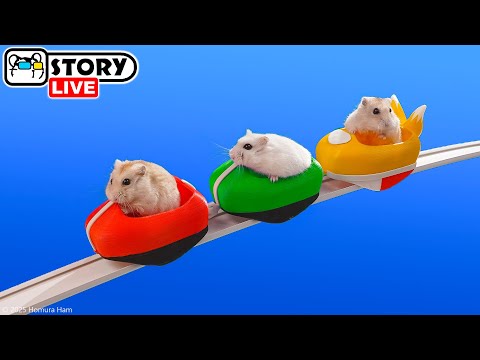 The Most Awesome Hamster Mazes, Obstacle Courses & Roller Coasters! 🐹 Homura Ham Pets