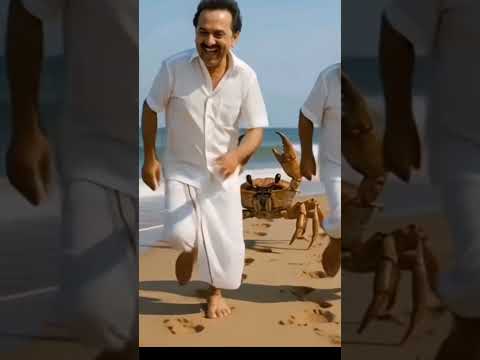 🦀Crab chasing Ai Video🦀#mkstalin #loli #love #politicalnews #politicalcomedy #politics