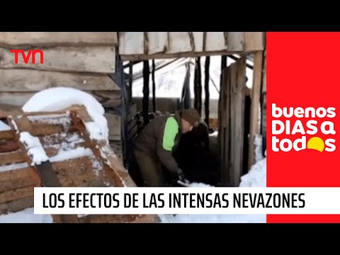 Los efectos de las intensas nevazones en Lonquimay | Buenos días a todos
