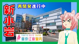 【どんな街？】東京江東案内 第55回 新小岩編【東京城東エリア紹介】