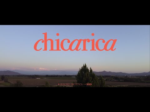 chicarica - Live Performance | Sintética Sesiones