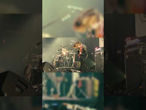 #domico #ドミコ #shortvideo #live