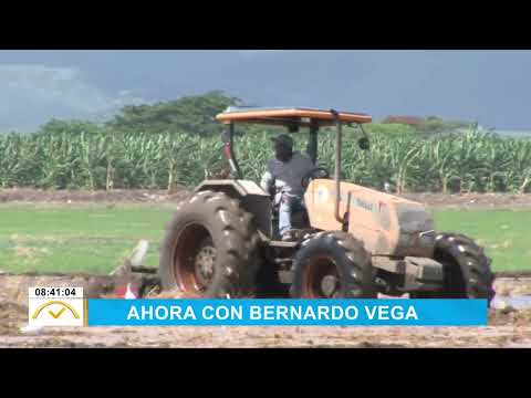 Bernardo Vega: "Cómo afroamericanos fueron confundidos por haitianos en nuestro país"