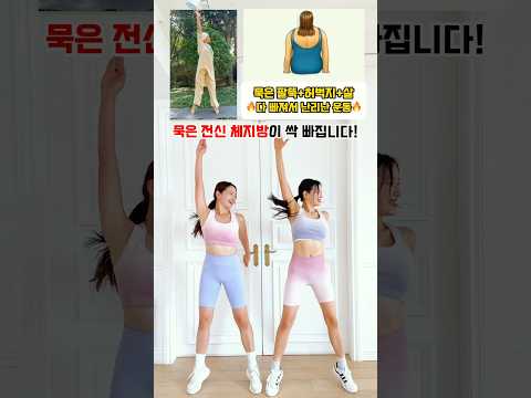 해외에서 묵은 전신살이 빠진다고 난리난 운동 #workout #흥둥이