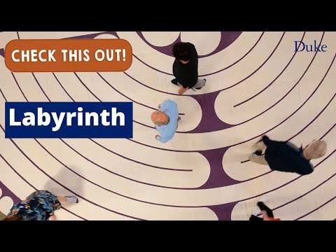 Labyrinth | Check This Out!