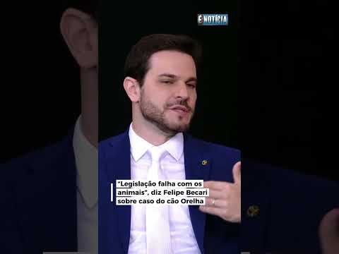 “Legislação falha com os animais”, diz Felipe Becari sobre caso do cão Orelha