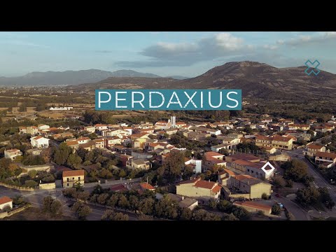 Perdaxius - Short Video 4k