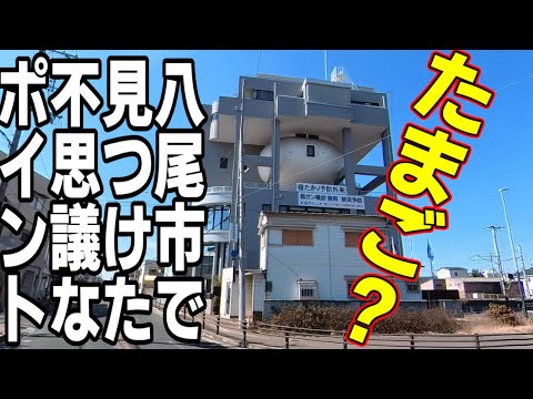 【大阪府八尾市】知られざる