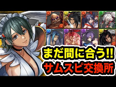 後悔のない選択を！サムスピ交換所☆６キャラクター性能紹介！【パズドラ】