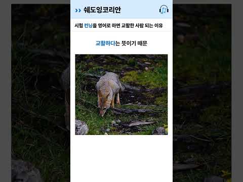 시험 '컨닝'을 영어로 말하면 교활한 사람 되는 이유 | 영어 털린 썰 #Shorts