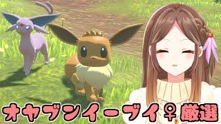 【レジェンズアルセウス】オヤブンイーブイに3時間に1回くらいは会えるらしい方法で♀厳選する【Live配信】