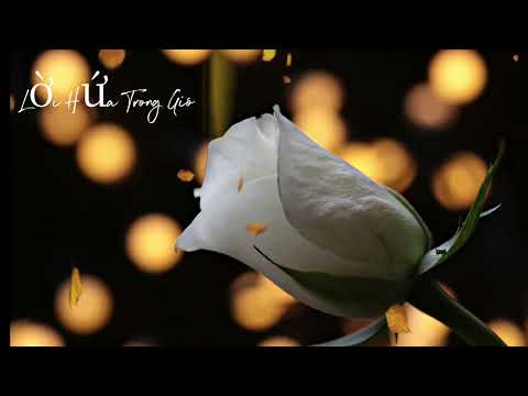 Lời Hứa Trong Gió # Nhạc Hay Mỗi Ngày #