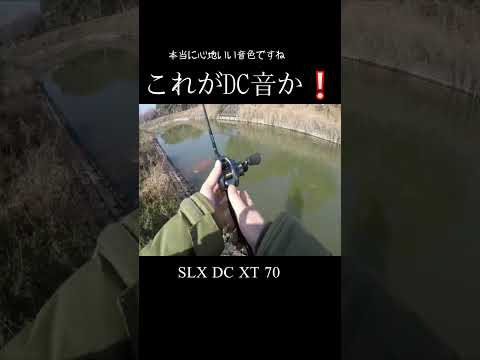 これがDCの世界観❕#shorts #bassfishing #バス釣り #おかっぱり #shimano #slx #右巻き大好き