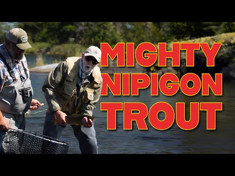 The Mighty Nipigon!