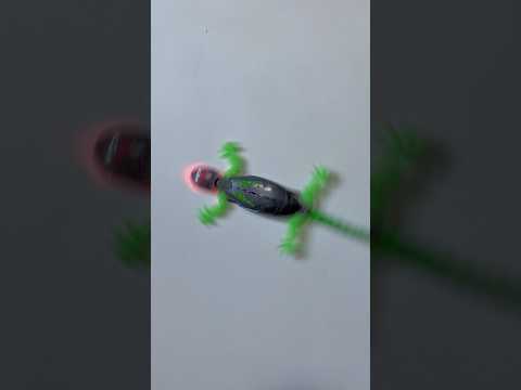 Suara Tokek Diam Vs Tokek Joget