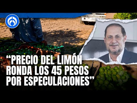 Extorsión a limoneros ha existido desde hace 15 años  y sigue en aumento: Juan Carlos Anaya