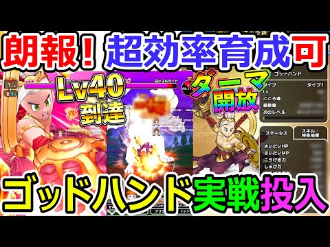 【ドラクエウォーク】ゴッドハンド育成に朗報！　超効率的に育成が可能だぞ！これ！！！上級職の苦労は何だったんだ、、、