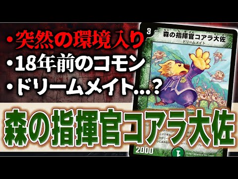 【No.2】18年前のコモン『森の指揮官コアラ大佐』が突如環境入りした話【デュエマ環境カード解説】