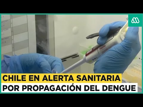 Alerta sanitaria en Chile: Dengue amenaza a varias regiones del país