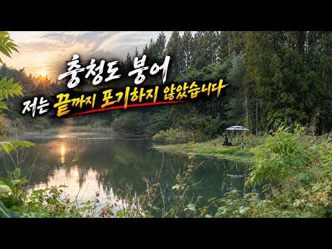 캠핑카 낚시여행  눈빛이 겸손해진 달빛