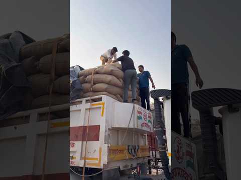 बोरी गिर गई 😂😂 #like #comedy #comedymove #comedyfilms #comment #funny #comedyforever