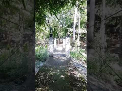 สุสานหอยล้านปี-Susan-Hiai-Lan- สุสานหอยล้านปี-Susan-Hiai-Lan-