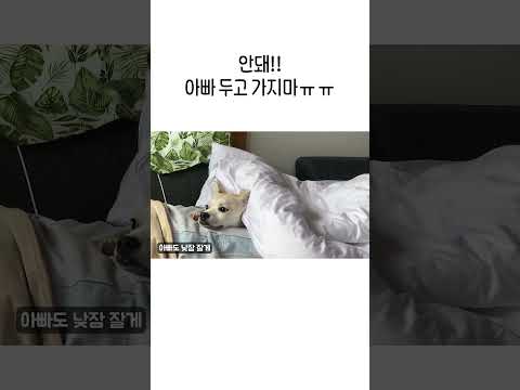 이제 너는 못가