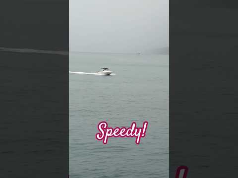 how fast it goes #speedboat #sea #shortvideo