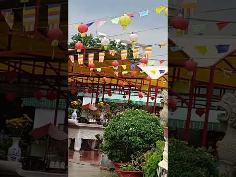 Chùa Hoa Quận8, #tuvingayhomnay #phongthuy12congiap #phatday