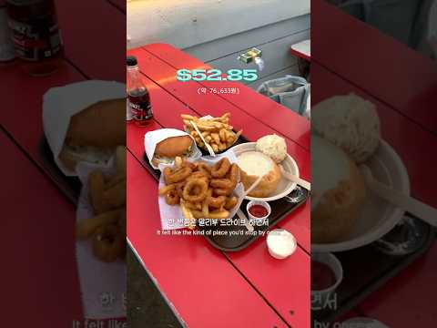 캘리포니아 바다에서 첫 서핑🏄🏻‍♀️ 배워보기 [🇺🇸샌디일상 #8]