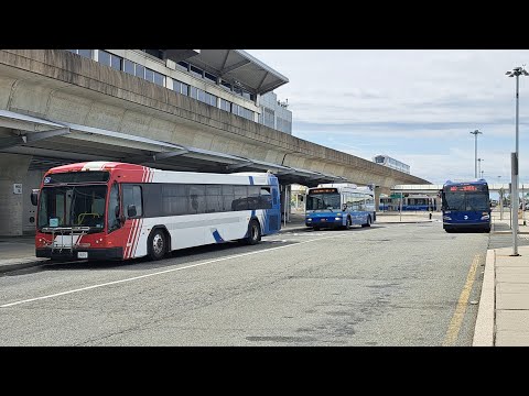 MTA & JFK bus airport action (A train shuttle & more)