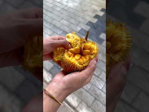 Azhani chakka #nostalgic #fruit #rain #