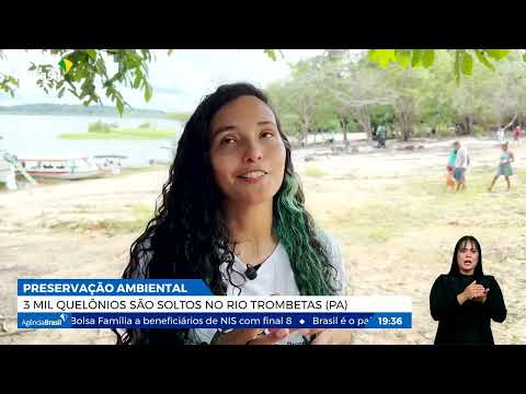 Meio ambiente: 3 mil quelônios são soltos no Rio Trombetas