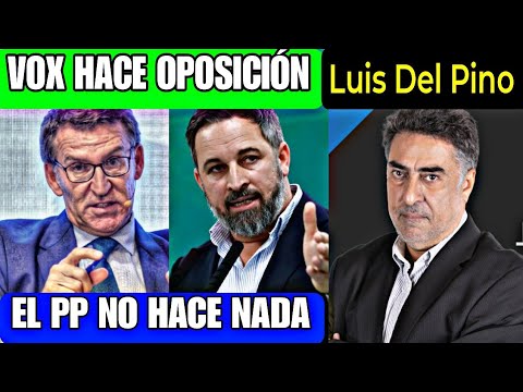 LUIS DEL PINO APLAUDE EL TRABAJO DE VOX MIENTRA EL PP NO HACE NADA CONTRA EL GOBIERNO DE SÁNCHEZ