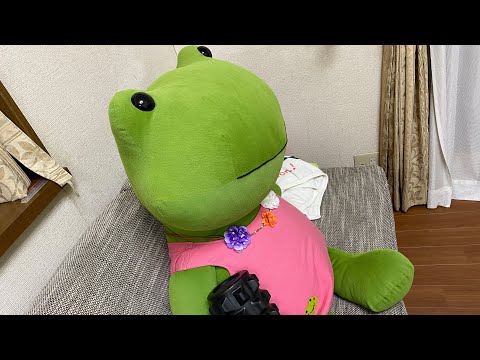 Ogu Channnelの最新動画 Youtubeランキング