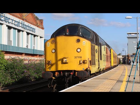 37421 (DOT horn) and 37116  switch ends at Loughborough