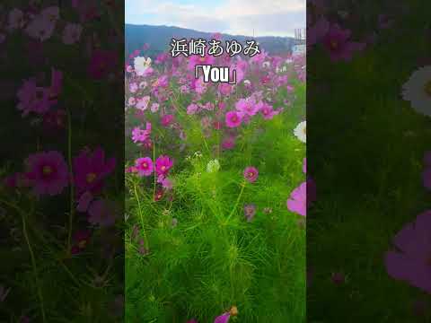 幸田町の道端に咲く秋桜を見てます。この動画を見ながら浜崎あゆみさんのyouを聴いてください。#浜崎あゆみ #浜崎あゆみファン#秋桜 #コスモス #幸田町 #愛知県 #風景 #ypu #綺麗 #秋