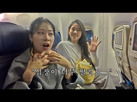 드디어 여름에 마이안과 해주가 한국에 다시 돌아왔습니다! 감출 수 없는 행복함...