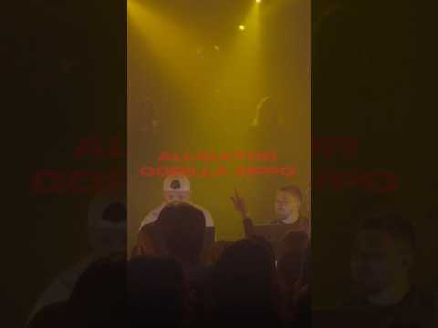 Gorilla Zippo — ALLIGATOR. Слушайте трек на альбоме «ПЛАМЯ»!