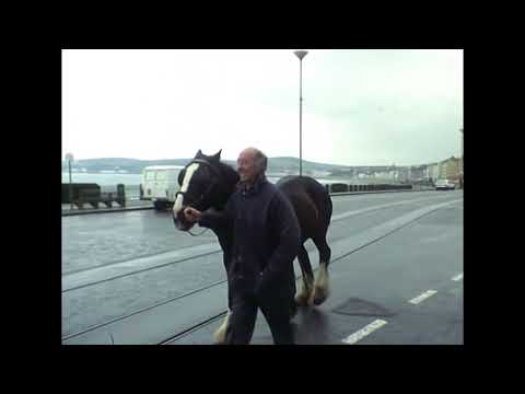 De Paardentram van het Britse eiland Man | The Horse Tram of the British Isle of Man